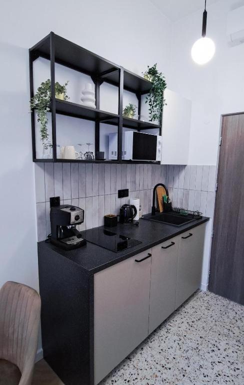 Lion Apartments - Premium Studio With Balcony Krakow Dış mekan fotoğraf
